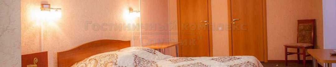 2-местный номер комфорт полулюкс с 1 двуспальной кроватью (с завтраком) в Спутник
