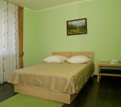 Номер стандарт с 1 двуспальной кроватью в Лесная