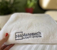 № 404 Улучшенный двухместный номер в разМалевиch