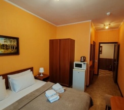 Полулюкс двухместный в Старая деревня