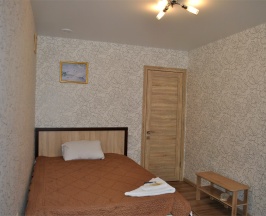 Одноместный номер в Sheremet