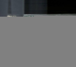 Шале Катунь в Тэнери