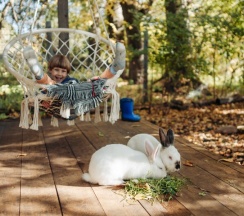 Домик "Кроличий" в Дом на дереве