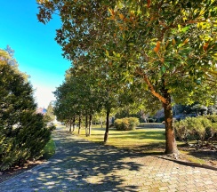 Квартира в Goodwill