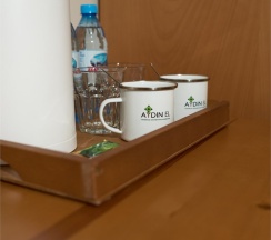 Стандарт в Aydin el