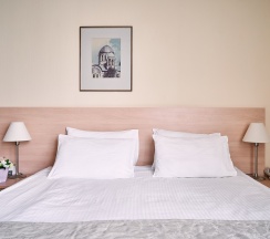 Стандарт Улучшенный с двуспальной кроватью в Центральный by USTA Hotels