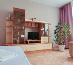 "Comfort class" - просторная 1 комнатная квартира в центре. Адрес: проспект Калинина,3/ул. Профинтерна,34. Октябрьский район. Пл. Октября 500 м., жд/авто вокзал 1,5 км., ТРЦ Пионер 700 м., пл. Советов/Ветеранов 1,7 км. в Квартира-22