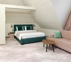 Номер полулюкс с 1 двуспальной кроватью (мансарда) в Елена