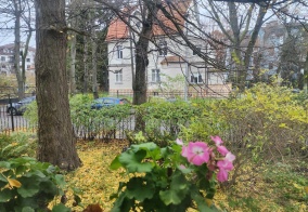 Апартаменты Апартаменты на улице Марины Расковой в Калининграде