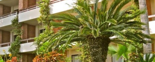 Двухместный номер Standard 2 отдельные кровати в The Palms Resort of Mazatlan