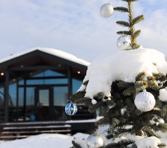 Lato-65 Plus в Домик в Икше