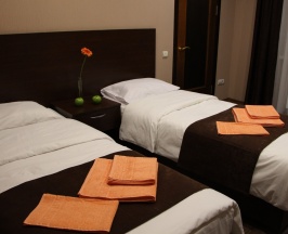 Двухместный номер с 1 кроватью или 2 отдельными кроватями в Белый тополь