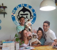 Одноместный номер Superior в Monkey Samui Hostel
