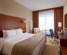 Номер стандарт с 1 двуспальной кроватью king-size в HolidayHall