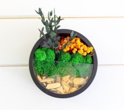 Коттедж улучшенный №2 в Дача без забот