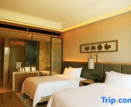 Двухместный номер Standard 2 отдельные кровати в Harman Resort Hotel Sanya