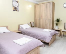 Двухместный номер Superior 2 отдельные кровати в Пятницкий плёс