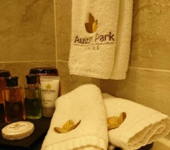 Двухместный номер Standard 2 отдельные кровати в Austin Park Hotel