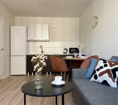 Евро-двухкомнатная квартира в Rauktis apartments