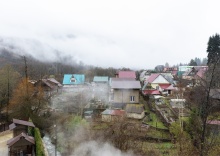 Стандарт в Вальс цветов Редэнс