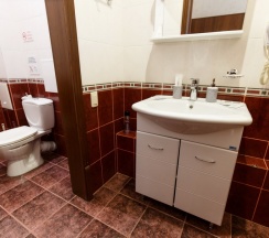 Делюкс 305 в Никольский