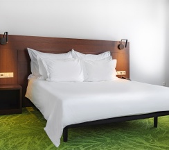 Deluxe Suite with river view в Gorskiy city hotel