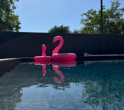 Шале в Белые ночи