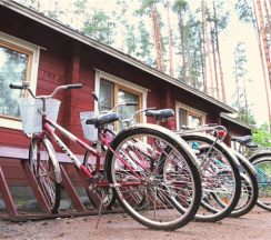 номер люкс № 9 с отдельным входом в Green village