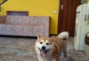 Гостевой дом Бумеранг в Ростовской области