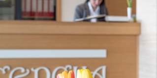 Златибор: Отель Hotel Agape