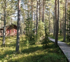 Сосновый бор 2+2 с двуспальной кроватью в Ладога озеро