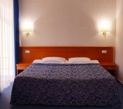 Стандарт с двуспальной кроватью в Park-hotel