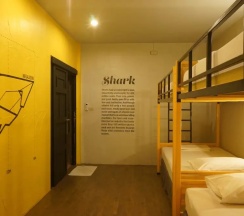 Кровать в общем номере в Monkey Dive Hostel Khaolak