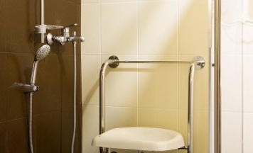 Двухместный для людей с ограниченными возможностями в Усадьба Горки