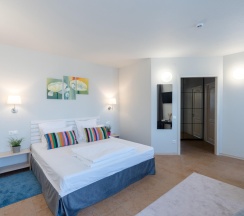 Номер стандарт с 1 двуспальной кроватью в Loyal Guest House