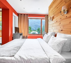 Улучшенный стандартный DBL в Park chalet