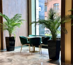 Deluxe в Raido.Moscow Sky