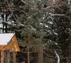 Барнхаус №1 в Илеть