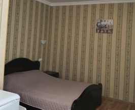 стандарт в Зенит
