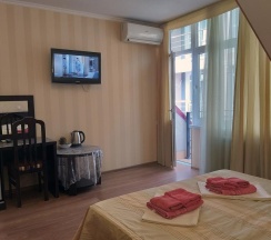 Двухместный номер Standard с балконом 2 отдельные кровати в Аист