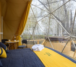 Сфера Янтарь в Holidays Forest