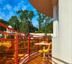 Сингл Делюкс  с балконом и видом на сад и горы в Диса