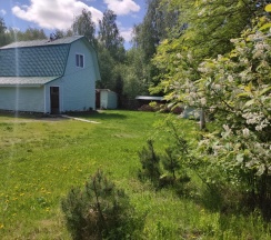 Дом Киви со Сливками в Илвас