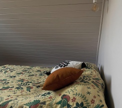 Большой Дом в Лес и Луга