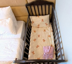 Трехместный полулюкс (DBL/SGL/Triple)  в Никольское