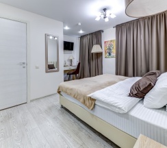 Улучшенная двухместная комната с 1 кроватью и собственной ванной комнатой в МК Распутина