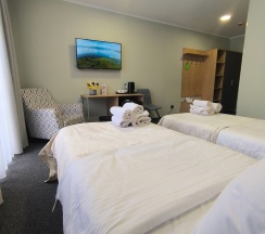 Делюкс Twin в Никольское