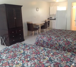 Студия в Birch Patio Motel