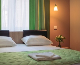 Стандарт двухместный с электрокамином и отдельным входом в Ring Road Hotel