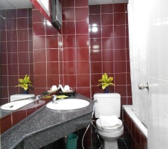 Одноместный семейный номер Standard в BS Court Boutique Residence
